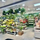 BB하우스롯데대전점 | 대전 수납 주방 생활소품 쇼핑은 여기서! "모던하우스 롯데마트 서대전점" 정보 방문 후기