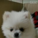 빈이샵