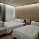 두들리도넛부산전포점 | 두들리도넛 부산전포점, 서면에서 만난 특별 도넛 6종 후기