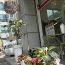 신부헤어샵 - 동구 | [천안/신부] 시헤어사이 신부동미용실 천안키즈미용실 가족 모두 만족한 헤어샵 후기