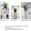 벌교상업고등학교 이미지