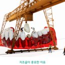 바른강치과의원 이미지