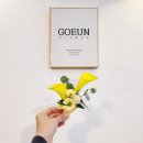 옐로우헤어샾
