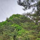 부용리 마애여래입상 이미지