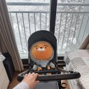베이비하우스 이미지