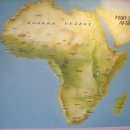 아프리카박물관 이미지