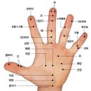 조물조물 이미지