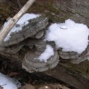 오가네민박 이미지