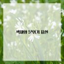 길거리 풍경스케치 이미지