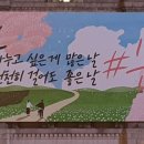 카덴차 이미지