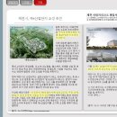 장락약국 이미지