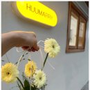 후유메리상암꽃집 | 디지털미디어시티역꽃집 근처에서 찾은 인생 꽃집, 후유메리 상암꽃집 후기입니다.