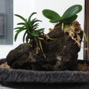 안덕중학교 이미지