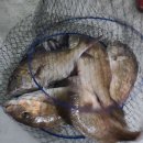 서울바다낚시터 이미지