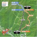 댕댕포레스트 이미지