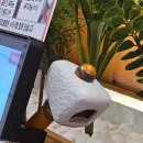 중계고기파티 | 노원 이베리코흑돼지 맛집 중계고기파티 후기 | 위생 끝판왕 내돈내산 리뷰