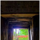 꽃무릇공원 이미지