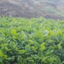 은골농장 이미지