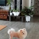 봉구 이미지