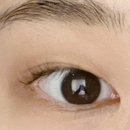 와썹뷰티 눈썹앤속눈썹펌 장한평점 이미지