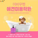 525그루밍 | [ 마산 ] 이바우펫, 저렴한 교육비 진주 김해 거제 장유 애견미용학원 공유해요 🙌