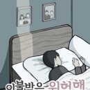 365이불 이미지