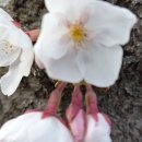 아유란농원 이미지