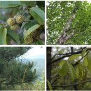 상수리공원 이미지