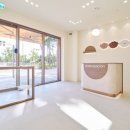 애견미용실 몽 이미지