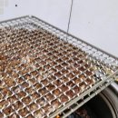 최영희 언양불고기 이미지