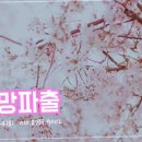 행복파출 이미지