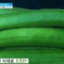 더오크라 이미지