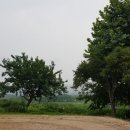 영근농장 이미지