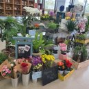 늘푸른에듀 이미지