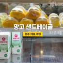 주영카페 | 청주 카페 주영 망고 샌드베이글 솔직후기 육거리시장 카페 주영 소금빵 맛집