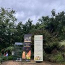 가창로 | [대구] 네이처파크 할로윈축제 다녀 온 후기! 대구동물원 실내가볼만한곳 추천