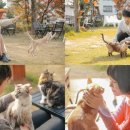 떼껄룩(TAKE A LOOK) 이미지