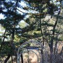 주벅배 전망대 화장실 이미지