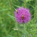 미술관로 이미지