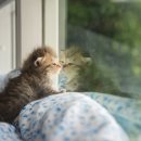 구포동물병원 이미지