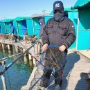 독도바다낚시터 이미지