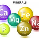 그린푸드 이미지