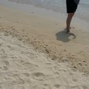 대천허브펜션 이미지