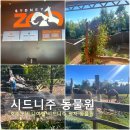 2019-주100 | 호주 시드니 여행 필수코스 동물원 시드니주 가격 할인 평지