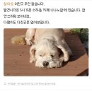 Clean me 이미지