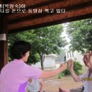 해평의원 이미지