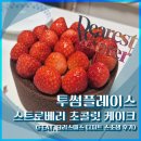디테일플레이스 | [내돈내산] 투썸플레이스 스트로베리 초콜릿 케이크 (feat. 크리스마스 디저트 스초생 후기)