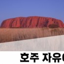 지그재그투어 이미지