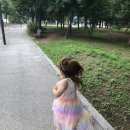 지영동체육공원 이미지