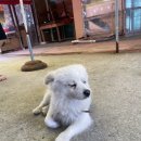 흥진수산 이미지